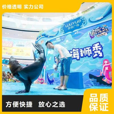 南安市分公司 專業出租表演鸚鵡，打造難忘動物展覽體驗